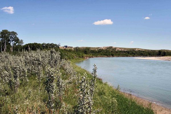 blackfoot_crossing_alberta blackfoot_crossing_alberta