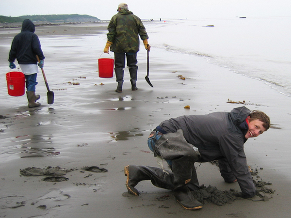 kasilof_rv_park_clamming