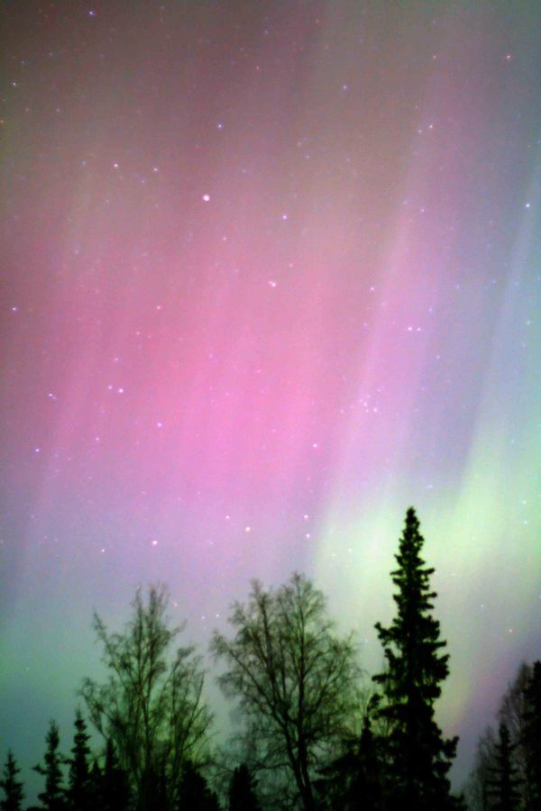 AURORA KIMBERLY MIETZAH DAMKOEHLER AURORA KIMBERLY MIETZAH DAMKOEHLER