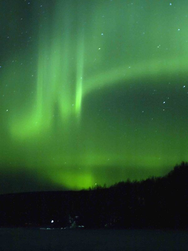 AURORA KIMBERLY MIETZAH DAMKOEHLER AURORA KIMBERLY MIETZAH DAMKOEHLER