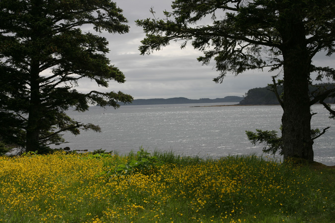 Kodiak Alaska 