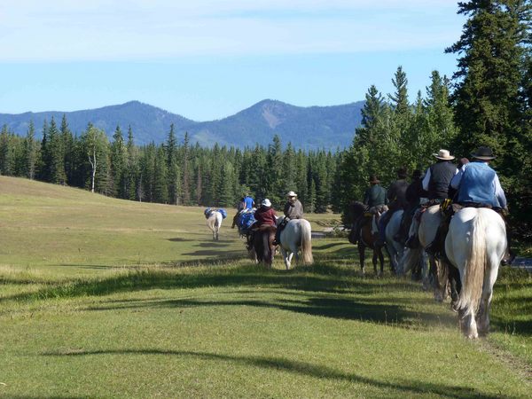 hinton_alberta_trail_rides