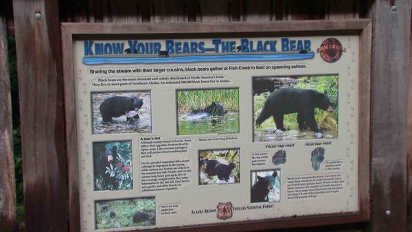 Hyder Alaska Bears Hyder Alaska Bears