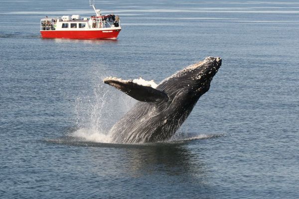 Seashore Charters Prince Rupert