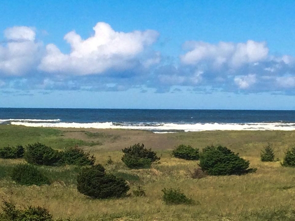 Ocean Parks Long Beach Washington