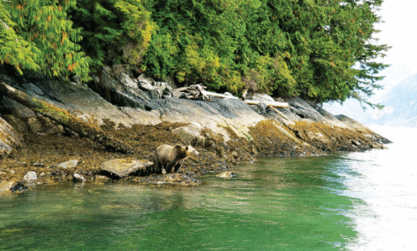 Telegraph Cove