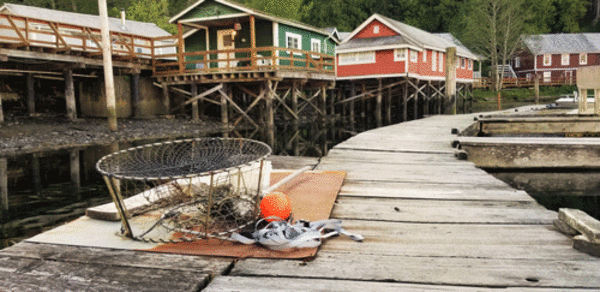 Telegraph Cove Telegraph Cove