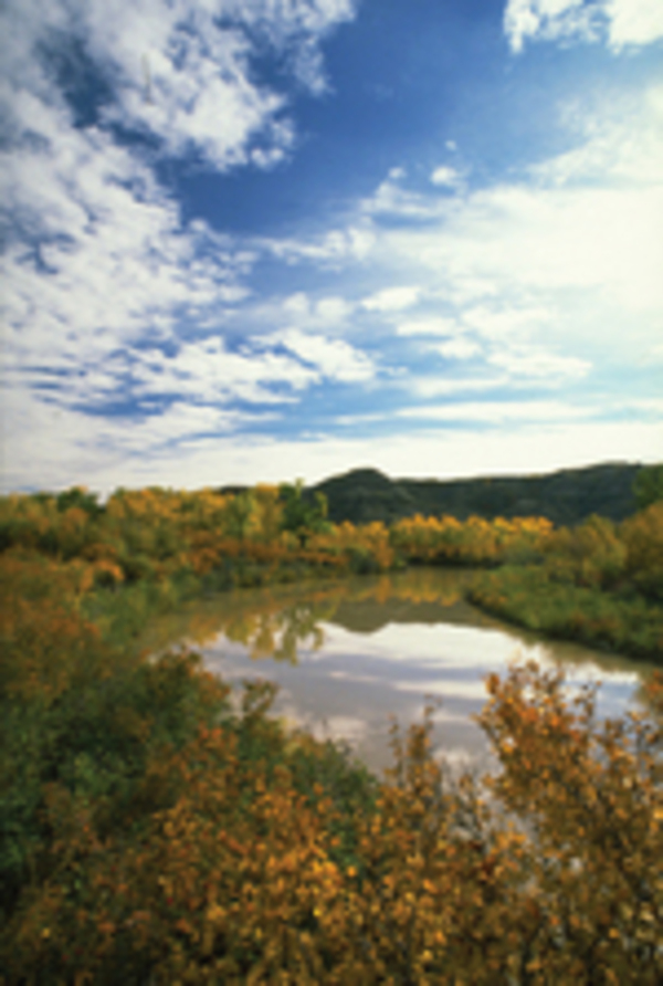 Red Deer River