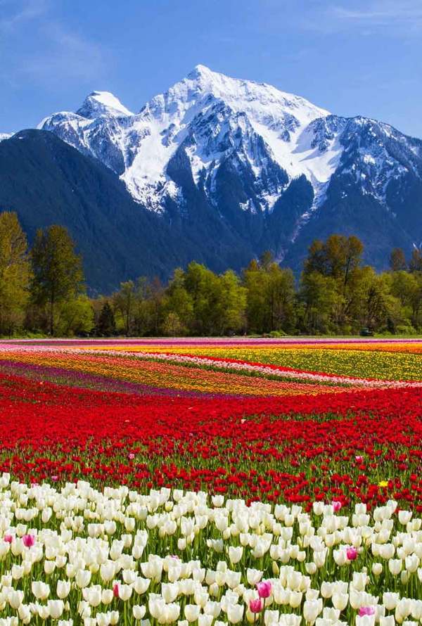Tourism Harrison Hot Springs BC Tourism Harrison Hot Springs BC