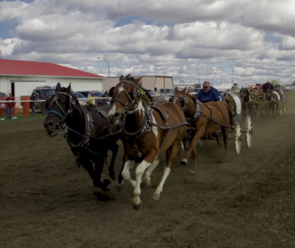 vegreville_alberta