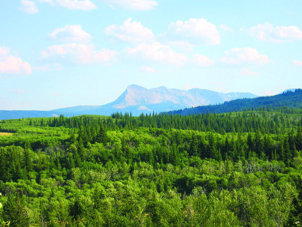 Browning Montana Blackfeet Country Browning Montana Blackfeet Country