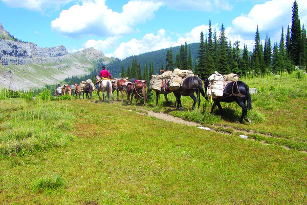 Choteau Montana Pack Train