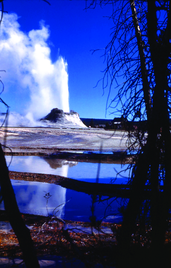 Yellowstone National Park Montana Geyser Yellowstone National Park Montana Geyser