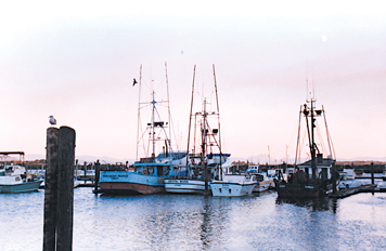 Friday Harbor Washington