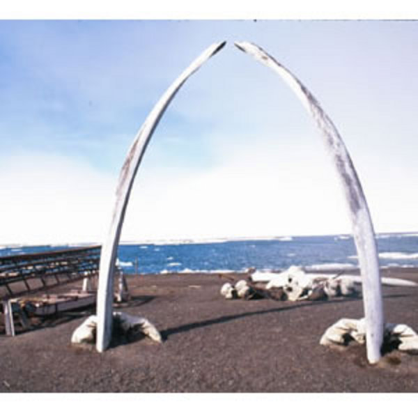 Barrow Alaska