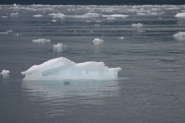 Columbia Glacier Alaska Ice 