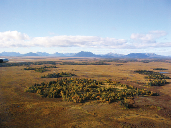 Dillingham Alaska