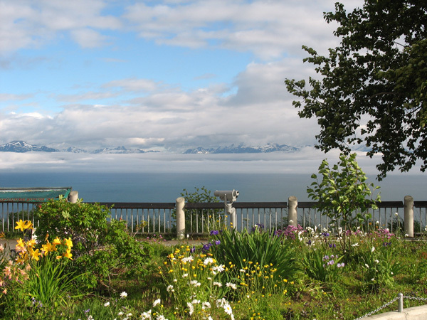 Homer Alaska