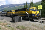 Denali National Park Alaska