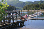 Seldovia Alaska Harbor