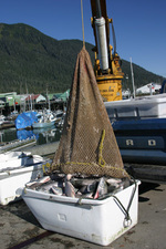 Petersburg Alaska Harbor