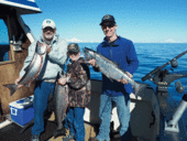 Bob's Trophy Charters in Homer