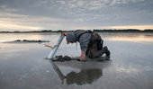 Ocean Park Clamming