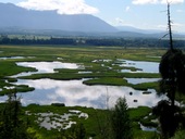 Creston Valley WIldlife Management Area