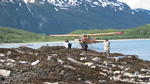 Bear Viewing Katmai National Park Alaska