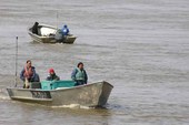 Emmonak Alaska Yukon River Salmon