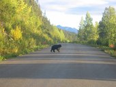 Stewart Cassiar Highway BC