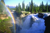 Jasper National Park Alberta