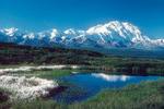 Denali National Park Alaska