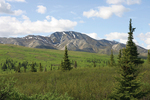 Denali National Park Alaska