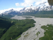 Katmai bear viewing