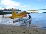 Bear Viewing Katmai National Park Alaska