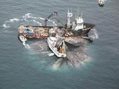 Sitka Herring Fleet