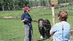 Fairbanks Alaska Large Animal Research Station