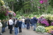 Juneau Alaska Glacier Gardens