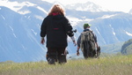 Bear Viewing Katmai National Park Alaska