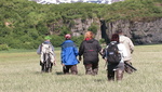 Bear Viewing Katmai National Park Alaska