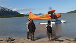 Bear Viewing Katmai National Park Alaska