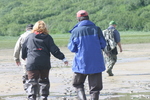 Bear Viewing Katmai National Park Alaska