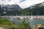 Whittier Alaska Harbor