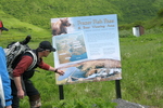 Bear Viewing Kodiak Island Alaska