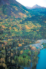 Kenai Peninsula Alaska