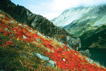 Kenai Peninsula Alaska