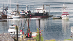 Petersburg Alaska Harbor