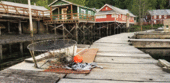 Telegraph Cove