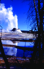 Yellowstone National Park Montana Geyser